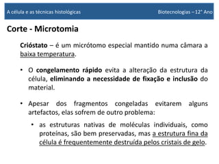 Corte - Microtomia
Crióstato – é um micrótomo especial mantido numa câmara a
baixa temperatura.
• O congelamento rápido evita a alteração da estrutura da
célula, eliminando a necessidade de fixação e inclusão do
material.
• Apesar dos fragmentos congeladas evitarem alguns
artefactos, elas sofrem de outro problema:
• as estruturas nativas de moléculas individuais, como
proteínas, são bem preservadas, mas a estrutura fina da
célula é frequentemente destruída pelos cristais de gelo.
A célula e as técnicas histológicas Biotecnologias –12° Ano
 