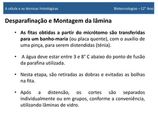 Desparafinação e Montagem da lâmina
• As fitas obtidas a partir do micrótomo são transferidas
para um banho-maria (ou placa quente), com o auxílio de
uma pinça, para serem distendidas (ténia).
• A água deve estar entre 3 e 8° C abaixo do ponto de fusão
da parafina utilizada.
• Nesta etapa, são retiradas as dobras e evitadas as bolhas
na fita.
• Após a distensão, os cortes são separados
individualmente ou em grupos, conforme a conveniência,
utilizando lâminas de vidro.
A célula e as técnicas histológicas Biotecnologias –12° Ano
 