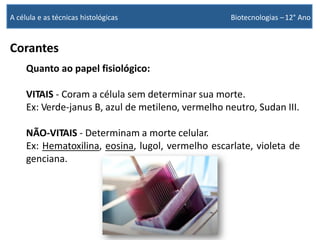 Corantes
Quanto ao papel fisiológico:
VITAIS - Coram a célula sem determinar sua morte.
Ex: Verde-janus B, azul de metileno, vermelho neutro, Sudan III.
NÃO-VITAIS - Determinam a morte celular.
Ex: Hematoxilina, eosina, lugol, vermelho escarlate, violeta de
genciana.
A célula e as técnicas histológicas Biotecnologias –12° Ano
 