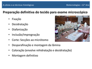 Preparação definitiva do tecido para exame microscópico
• Fixação
• Desidratação
• Diafanização
• Inclusão/Impregnação
• Corte: Secções ao micrótomo
• Desparafinação e montagem da lâmina
• Coloração (envolve rehidratação e desidratação)
• Montagem definitivo
A célula e as técnicas histológicas Biotecnologias –12° Ano
 