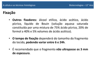 Fixação
• Outros fixadores: álcool etílico, ácido acético, ácido
pícrico, líquido de Bouin (solução aquosa saturada
constituída por uma mistura de 75% ácido pícrico, 20% de
formol a 40% e 5% volumes de ácido acético).
• O tempo de fixação dependerá do tamanho do fragmento
do tecido, podendo variar entre 6 e 24h.
• É recomendado que o fragmento não ultrapasse os 3 mm
de espessura.
A célula e as técnicas histológicas Biotecnologias –12° Ano
 