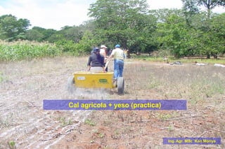 Cal agrícola + yeso (practica)
Ing. Agr. MSc Ken Moriya
 