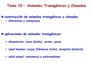 Tema 10 – Animales Transgénicos y Clonados
 construcción de animales transgénicos y clonados
 diferencias y semejanzas
 aplicaciones de animales transgénicos:
 alimentarias: vacas (leche), cerdos, peces
 salud humana: ovejas (fármacos leche), mosquitos (malaria)
 salud animal: resistencia a enfermedades
 