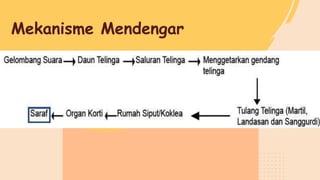 .
Mekanisme Mendengar
 