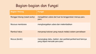Bagian-bagian dan fungsi
Bagian Hidung Fungsi
Rongga hidung (nasal cavity) mengalirkan udara dari luar ke tenggorokan menuju paru
paru.
Mucous membrane menghangatkan udara dan melembabkan
Rambut halus menyerap kotoran yang masuk melalui sistem pernafasan
Mucus (lendir) menangkap debu, bakteri, dan partikel-partikel kecil lainnya
yang dapat merusak paru-paru
 