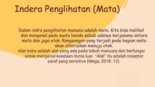 Indera Penglihatan (Mata)
Dalam indra penglihatan manusia adalah mata. Kita bisa melihat
dan mengenal pada suatu benda sebab adanya kerjasama antara
mata dan juga otak. Rangsangan yang terjadi pada bagian mata
akan diteruskan menuju otak.
Alat indra adalah alat yang ada pada tubuh manusia dan berfungsi
untuk mengenal keadaan dunia luar. “Alat” itu adalah reseptor
saraf yang sensitive (Mega, 2018: 12).
 