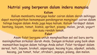 Kalium
Kalium membantu menjaga kadar cairan dalam darah sehingga
dapat meningkatkan kemampuan pendengaran mengingat cairan dalam
telinga bagian dalam Anda juga kaya kalium. Kalium terdapat dalam
kentang, bayam, tomat, kismis, aprikot, pisang, melon, jeruk, yogurt
dan susu rendah lemak.
Folat
Asam folat berguna untuk menghasilkan sel-sel baru serta
meningkatkan sirkulasi darah Anda. Dengan sirkulasi yang baik akan
memastikan bagian dalam telinga Anda sehat. Folat terdapat dalam
sereal, hati, bayam, brokoli, asparagus, kacang hijau, alpukat, selada,
kacang, jus tomat, telur, stroberi, pepaya, pisang, dan melon.
Nutrisi yang berperan dalam indera manusia
 