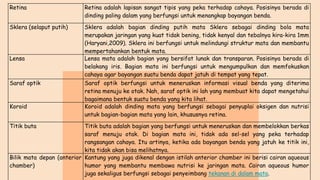 Retina Retina adalah lapisan sangat tipis yang peka terhadap cahaya. Posisinya berada di
dinding paling dalam yang berfungsi untuk menangkap bayangan benda.
Sklera (selaput putih) Sklera adalah bagian dinding putih mata Sklera sebagai dinding bola mata
merupakan jaringan yang kuat tidak bening, tidak kenyal dan tebalnya kira-kira 1mm
(Haryani,2009). Sklera ini berfungsi untuk melindungi struktur mata dan membantu
mempertahankan bentuk mata.
Lensa Lensa mata adalah bagian yang bersifat lunak dan transparan. Posisinya berada di
belakang iris. Bagian mata ini berfungsi untuk mengumpulkan dan memfokuskan
cahaya agar bayangan suatu benda dapat jatuh di tempat yang tepat.
Saraf optik Saraf optik berfungsi untuk meneruskan informasi visual benda yang diterima
retina menuju ke otak. Nah, saraf optik ini lah yang membuat kita dapat mengetahui
bagaimana bentuk suatu benda yang kita lihat.
Koroid Koroid adalah dinding mata yang berfungsi sebagai penyuplai oksigen dan nutrisi
untuk bagian-bagian mata yang lain, khususnya retina.
Titik buta Titik buta adalah bagian yang berfungsi untuk meneruskan dan membelokkan berkas
saraf menuju otak. Di bagian mata ini, tidak ada sel-sel yang peka terhadap
rangsangan cahaya. Itu artinya, ketika ada bayangan benda yang jatuh ke titik ini,
kita tidak akan bisa melihatnya.
Bilik mata depan (anterior
chamber)
Kantung yang juga dikenal dengan istilah anterior chamber ini berisi cairan aqueous
humor yang membantu membawa nutrisi ke jaringan mata. Cairan aqueous humor
juga sekaligus berfungsi sebagai penyeimbang tekanan di dalam mata.
 