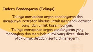 Telinga merupakan organ pendengaran dan
mempunyai reseptor khusus untuk mengenali getaran
bunyi dan untuk keseimbangan.
Telinga merupakan organ pendengaran yang
menangkap dan merubah bunyi yang diteruskan ke
otak untuk disadari serta dimenegerti.
Indera Pendengaran (Telinga)
 