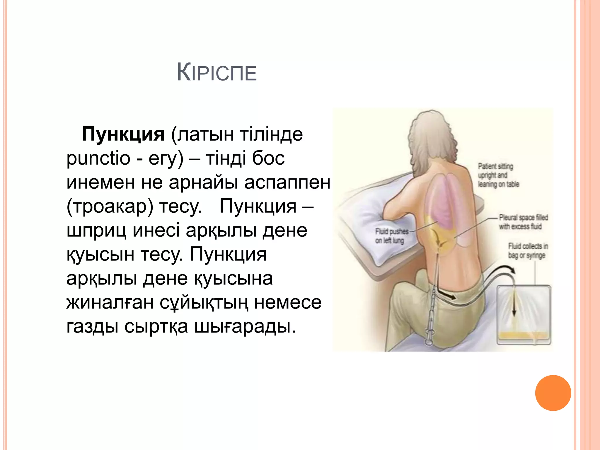 Волосатые письки порно фото ресейліктердің