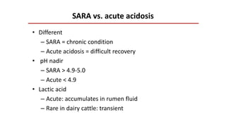 SARA vs. acute acidosis
• Different
– SARA = chronic condition
– Acute acidosis = difficult recovery
• pH nadir
– SARA > 4.9-5.0
– Acute < 4.9
• Lactic acid
– Acute: accumulates in rumen fluid
– Rare in dairy cattle: transient
 