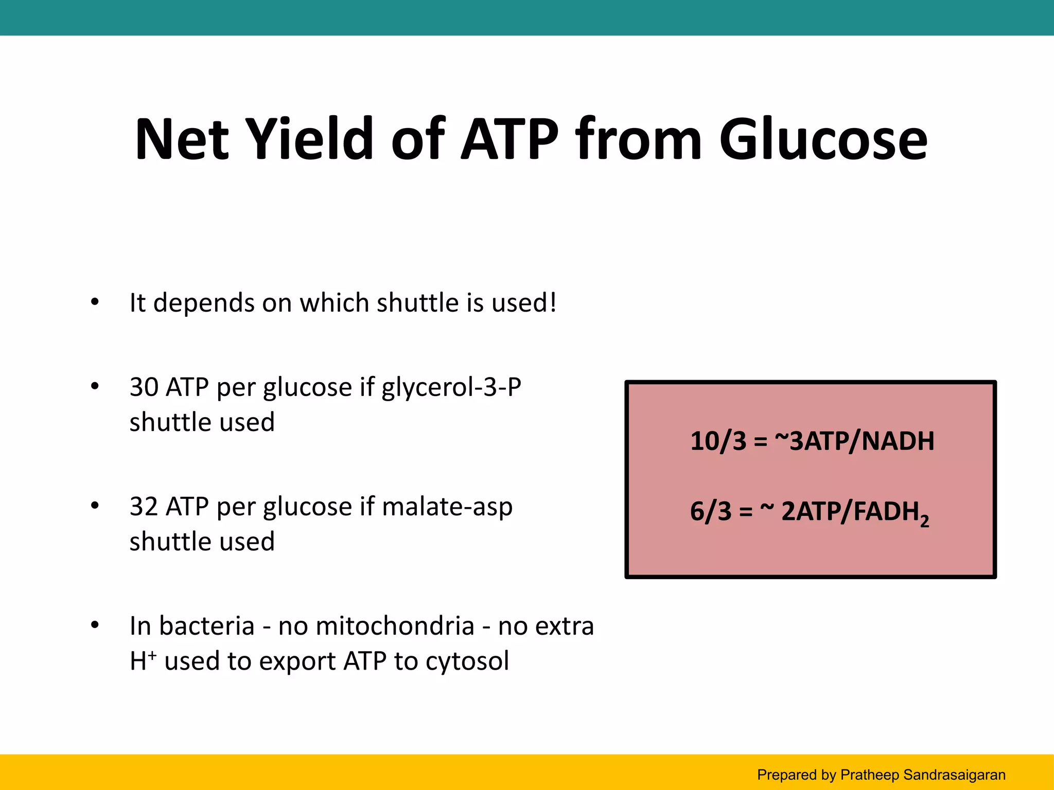 Oxydative phosphorylations | PPT