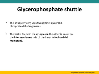Glycerophosphate shuttle
• This shuttle system uses two distinct glycerol 3-
phosphate dehydrogenases.
• The first is found in the cytoplasm, the other is found on
the intermembrane side of the inner mitochondrial
membrane.
Prepared by Pratheep Sandrasaigaran
 