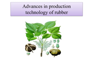 Advances in production
technology of rubber
 