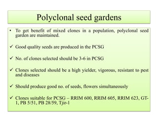 Nursery for seedlings and budded stumps
• In India, seed fall is during July - September and hence in this
period it is ne...