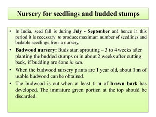 Seed at stake planting:
In situ planting, 3 – 4 seeds are sown in pit and
allowed for germination. Vigorous growing 2 – 3...