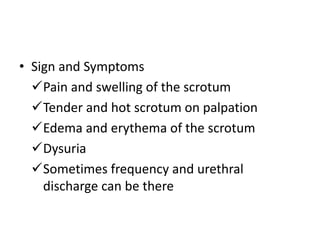 • Sign and Symptoms
Pain and swelling of the scrotum
Tender and hot scrotum on palpation
Edema and erythema of the scrotum
Dysuria
Sometimes frequency and urethral
discharge can be there
 