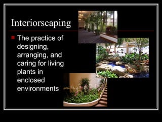 Interiorscaping The practice of designing, arranging, and caring for living plants in enclosed environments  