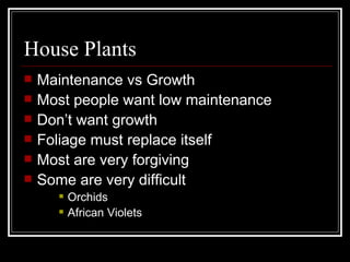 House Plants Maintenance vs Growth Most people want low maintenance Don’t want growth Foliage must replace itself Most are very forgiving Some are very difficult Orchids African Violets 