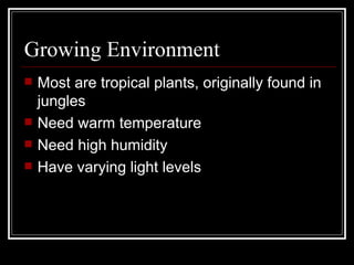 Growing Environment Most are tropical plants, originally found in jungles Need warm temperature Need high humidity Have varying light levels 
