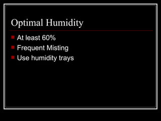 Optimal Humidity At least 60% Frequent Misting Use humidity trays 