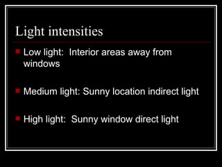 Light intensities Low light:  Interior areas away from windows Medium light: Sunny location indirect light High light:  Sunny window direct light 