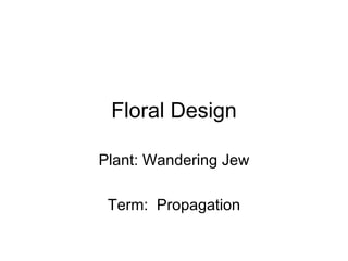 Floral Design Plant: Wandering Jew Term:  Propagation 