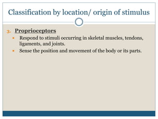 Position Sense 10. Anatomy_Sense Organs.pptx
