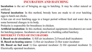 INCUBATION AND HATCHING
Incubation is the act of bringing an egg to hatching. It may be either natural or
artificial.
Natural incubation: In this method, broody hens are made to sit over hatching
eggs to hatch out chicks.
A hen can sit over hatching eggs to a longer period without feed and water due to
some hormonal changes in its body.
Prolactin is responsible for broodiness in chicken.
Artificial incubation: In this method, mechanical equipments (incubators) are used
for hatching purpose. Incubators are placed in a building called hatchery.
DIFFERENT TYPES OF INCUBATORS
I. Based on air circulation: 1) Sill air incubators 2) Forced draft incubators
II. Based on heating source: 1) Hot air incubator 2) Hot water incubator
III. Based on fuel used 1) Gas operated incubator 2) Oil operated incubator 3)
Electrically operated incubators.
 