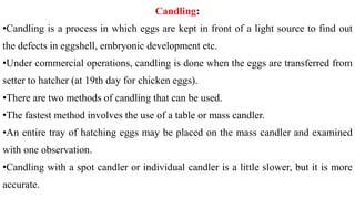 Candling:
•Candling is a process in which eggs are kept in front of a light source to find out
the defects in eggshell, embryonic development etc.
•Under commercial operations, candling is done when the eggs are transferred from
setter to hatcher (at 19th day for chicken eggs).
•There are two methods of candling that can be used.
•The fastest method involves the use of a table or mass candler.
•An entire tray of hatching eggs may be placed on the mass candler and examined
with one observation.
•Candling with a spot candler or individual candler is a little slower, but it is more
accurate.
 