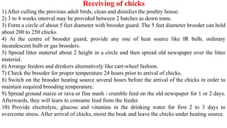 Receiving of chicks
1) After culling the previous adult birds, clean and disinfect the poultry house.
2) 3 to 4 weeks interval may be provided between 2 batches as down tome.
3) Form a circle of about 5 feet diameter with brooder guard. The 5 feet diameter brooder can hold
about 200 to 250 chicks.
4) At the centre of brooder guard, provide any one of heat source like IR bulb, ordinary
incandescent bulb or gas brooders.
5) Spread litter material about 2 height in a circle and then spread old newspaper over the litter
material.
6) Arrange feeders and drinkers alternatively like cart-wheel fashion.
7) Check the brooder for proper temperature 24 hours prior to arrival of chicks.
8) Switch on the brooder heating source several hours before the arrival of the chicks in order to
maintain required brooding temperature.
9) Spread ground maize or rava or fine mash / crumble feed on the old newspaper for 1 or 2 days.
Afterwards, they will learn to consume feed from the feeder.
10) Provide electrolyte, glucose and vitamins in the drinking water for first 2 to 3 days to
overcome stress. After arrival of chicks, moist the beak and leave the chicks under heating source.
 