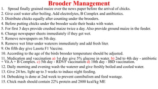 Brooder Management
1. Spread finally grained maize over the news paper before the arrival of chicks.
2. Give cool water after boiling. Add electrolytes, B Complex and antibiotics.
3. Distribute chicks equally after counting under the brooders.
4. Before putting chicks under the brooder scale their beaks with water.
5. For first 3 days provide crushed maize twice a day. Also provide ground maize in the feeder.
6. Change newspaper sheets immediately if they get wet.
7. Remove newspapers on 5th day.
8. Remove wet litter under waterers immediately and add fresh liter.
9. On fifth day give Lasota F1 Vaccine.
10. According to the age of the birds brooder temperature should be adjusted.
11. Medication and vaccination a) 1st day give 5% glucose in water. b) 2nd to 4th day - antibiotic
+ Vit.A + B Complex. c) 5th day - RDVF vaccination d) 10th day - IBD vaccination.
12. Daily morning and evening wash the waterer and give freshly boiled and cooled water.
13. Give 24 hrs. light up to 3 weeks to induce night feeding.
14. Debeaking is done at 2nd week to prevent cannibalism and feed wastage.
15. Chick mash should contain 22% protein and 2800 kcal/kg ME
 