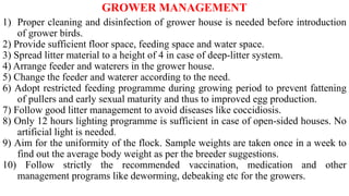 GROWER MANAGEMENT
1) Proper cleaning and disinfection of grower house is needed before introduction
of grower birds.
2) Provide sufficient floor space, feeding space and water space.
3) Spread litter material to a height of 4 in case of deep-litter system.
4) Arrange feeder and waterers in the grower house.
5) Change the feeder and waterer according to the need.
6) Adopt restricted feeding programme during growing period to prevent fattening
of pullers and early sexual maturity and thus to improved egg production.
7) Follow good litter management to avoid diseases like coccidiosis.
8) Only 12 hours lighting programme is sufficient in case of open-sided houses. No
artificial light is needed.
9) Aim for the uniformity of the flock. Sample weights are taken once in a week to
find out the average body weight as per the breeder suggestions.
10) Follow strictly the recommended vaccination, medication and other
management programs like deworming, debeaking etc for the growers.
 