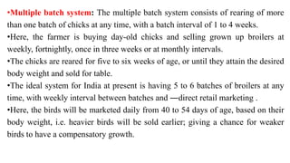 •Multiple batch system: The multiple batch system consists of rearing of more
than one batch of chicks at any time, with a batch interval of 1 to 4 weeks.
•Here, the farmer is buying day-old chicks and selling grown up broilers at
weekly, fortnightly, once in three weeks or at monthly intervals.
•The chicks are reared for five to six weeks of age, or until they attain the desired
body weight and sold for table.
•The ideal system for India at present is having 5 to 6 batches of broilers at any
time, with weekly interval between batches and ―direct retail marketing .
•Here, the birds will be marketed daily from 40 to 54 days of age, based on their
body weight, i.e. heavier birds will be sold earlier; giving a chance for weaker
birds to have a compensatory growth.
 
