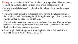 Variety: A variety is a subdivision of a breed, distinguished either by colour,
comb type feather pattern etc from other group of the same breed.
• Variety is a subdivision of breed and within a breed there may be several
varieties.
• The term variety issued to distinguish fowls having the characteristics of
the breed to which they belong but differing in plumage colour, comb type
etc. from other groups of the same breed.
• A breed/variety may also have several strains or lines identified by a given
name and produced by a breeder through at least 5 generations of closed
flock breeding for a particular purpose.
• For example: White Leghorn, Brown Leghorn, White Plymouth Rock,
Barred Plymouth Rock, Black Minorca etc.
 