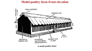 Model poultry farm-Front elevation
 