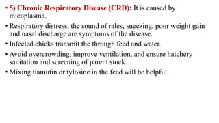 • 5) Chronic Respiratory Disease (CRD): It is caused by
micoplasma.
• Respiratory distress, the sound of rales, sneezing, poor weight gain
and nasal discharge are symptoms of the disease.
• Infected chicks transmit the through feed and water.
• Avoid overcrowding, improve ventilation, and ensure hatchery
sanitation and screening of parent stock.
• Mixing tiamutin or tylosine in the feed will be helpful.
 