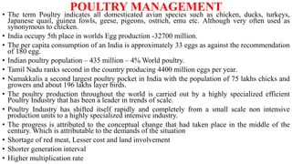 POULTRY MANAGEMENT
• The term Poultry indicates all domesticated avian species such as chicken, ducks, turkeys,
Japanese quail, guinea fowls, geese, pigeons, ostrich, emu etc. Although very often used as
synonymous to chicken.
• India occupy 5th place in worlds Egg production -32700 million.
• The per capita consumption of an India is approximately 33 eggs as against the recommendation
of 180 egg.
• Indian poultry population – 435 million – 4% World poultry.
• Tamil Nadu ranks second in the country producing 4400 million eggs per year.
• Namakkalis a second largest poultry pocket in India with the population of 75 lakhs chicks and
growers and about 196 lakhs layer birds.
• The poultry production throughout the world is carried out by a highly specialized efficient
Poultry Industry that has been a leader in trends of scale.
• Poultry Industry has shifted itself rapidly and completely from a small scale non intensive
production units to a highly specialized intensive industry.
• The progress is attributed to the conceptual change that had taken place in the middle of the
century. Which is attributable to the demands of the situation
• Shortage of red meat, Lesser cost and land involvement
• Shorter generation interval
• Higher multiplication rate
 
