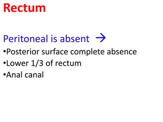 Rectum
Peritoneal is absent 
•Posterior surface complete absence
•Lower 1/3 of rectum
•Anal canal
 