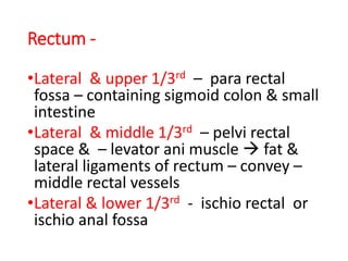 Rectum -
•Lateral & upper 1/3rd – para rectal
fossa – containing sigmoid colon & small
intestine
•Lateral & middle 1/3rd – pelvi rectal
space & – levator ani muscle  fat &
lateral ligaments of rectum – convey –
middle rectal vessels
•Lateral & lower 1/3rd - ischio rectal or
ischio anal fossa
 