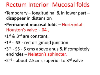 Rectum Interior -Mucosal folds
•Temporary – longitudinal & in lower part –
disappear in distension
•Permanent mucosal folds – Horizontal -
Houston’s valve - 04 ,
•1st & 3rd are constant.
•1st - S3 - recto sigmoid junction
•3rd - S5 - 5 cms above anus & if completely
encircles – Nelaton’s sphincter.
•2nd - about 2.5cms superior to 3rd valve
 