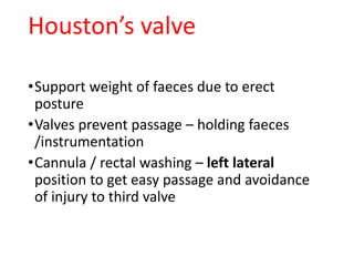 Houston’s valve
•Support weight of faeces due to erect
posture
•Valves prevent passage – holding faeces
/instrumentation
•Cannula / rectal washing – left lateral
position to get easy passage and avoidance
of injury to third valve
 