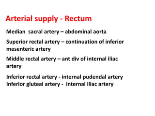 Arterial supply - Rectum
Median sacral artery – abdominal aorta
Superior rectal artery – continuation of inferior
mesenteric artery
Middle rectal artery – ant div of internal iliac
artery
Inferior rectal artery - internal pudendal artery
Inferior gluteal artery - internal iliac artery
 
