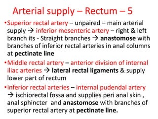 Arterial supply – Rectum – 5
•Superior rectal artery – unpaired – main arterial
supply  inferior mesenteric artery – right & left
branch its - Straight branches  anastomose with
branches of inferior rectal arteries in anal columns
at pectinate line
•Middle rectal artery – anterior division of internal
iliac arteries  lateral rectal ligaments & supply
lower part of rectum
•Inferior rectal arteries – internal pudendal artery
 ischiorectal fossa and supplies peri anal skin ,
anal sphincter and anastomose with branches of
superior rectal artery at pectinate line.
 