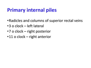 Primary internal piles
•Radicles and columns of superior rectal veins
•3 o clock – left lateral
•7 o clock – right posterior
•11 o clock – right anterior
 