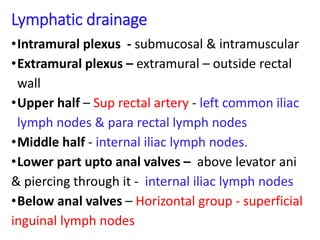 Lymphatic drainage
•Intramural plexus - submucosal & intramuscular
•Extramural plexus – extramural – outside rectal
wall
•Upper half – Sup rectal artery - left common iliac
lymph nodes & para rectal lymph nodes
•Middle half - internal iliac lymph nodes.
•Lower part upto anal valves – above levator ani
& piercing through it - internal iliac lymph nodes
•Below anal valves – Horizontal group - superficial
inguinal lymph nodes
 