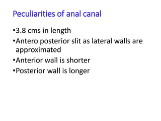 Peculiarities of anal canal
•3.8 cms in length
•Antero posterior slit as lateral walls are
approximated
•Anterior wall is shorter
•Posterior wall is longer
 