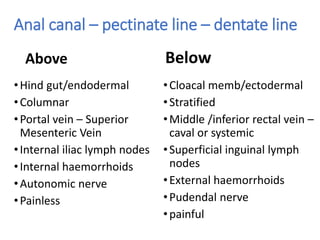 Anal canal – pectinate line – dentate line
Above
•Hind gut/endodermal
•Columnar
•Portal vein – Superior
Mesenteric Vein
•Internal iliac lymph nodes
•Internal haemorrhoids
•Autonomic nerve
•Painless
Below
•Cloacal memb/ectodermal
•Stratified
•Middle /inferior rectal vein –
caval or systemic
•Superficial inguinal lymph
nodes
•External haemorrhoids
•Pudendal nerve
•painful
 