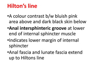 Hilton’s line
•A colour contrast b/w bluish pink
area above and dark black skin below
•Anal intersphinteric groove at lower
end of internal sphincter muscle
•Indicates lower margin of internal
sphincter
•Anal fascia and lunate fascia extend
up to Hiltons line
 