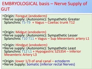 EMBRYOLOGICAL basis – Nerve Supply of
GUT
•Origin: Foregut (endoderm)
•Nerve supply: (Autonomic): Sympathetic Greater
Splanchnic T5-T9 + Vagus – Coeliac trunk T12
•Origin: Midgut (endoderm)
•Nerve supply: (Autonomic): Sympathetic Lesser
Splanchnic T10 T11 + Vagus – Sup Mesenteric artery L1
•Origin: Hindgut (endoderm)
•Nerve supply: (Autonomic): Sympathetic Least
Splanchnic T12 L1 + Hypogastric S2S3S4 – Inferior
Mesenteric Artery L3
•Origin :lower 1/3 of anal canal – ectoderm
•Nerve Supply: Somatic (inferior rectal Nerves)
 